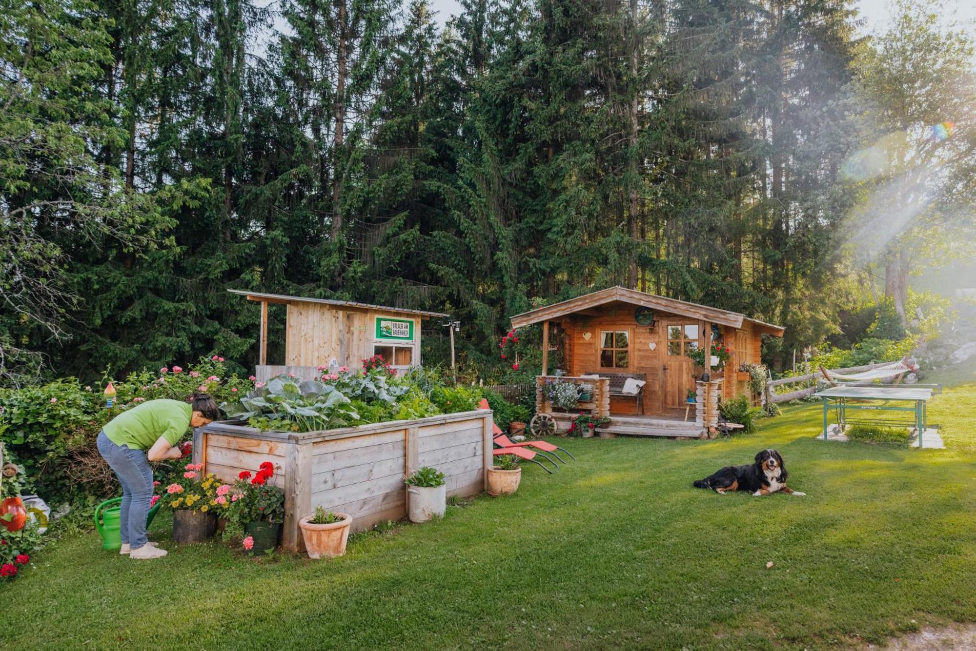 Bio-Bergbauernhof Weger Apartment Dellach  Bagian luar foto